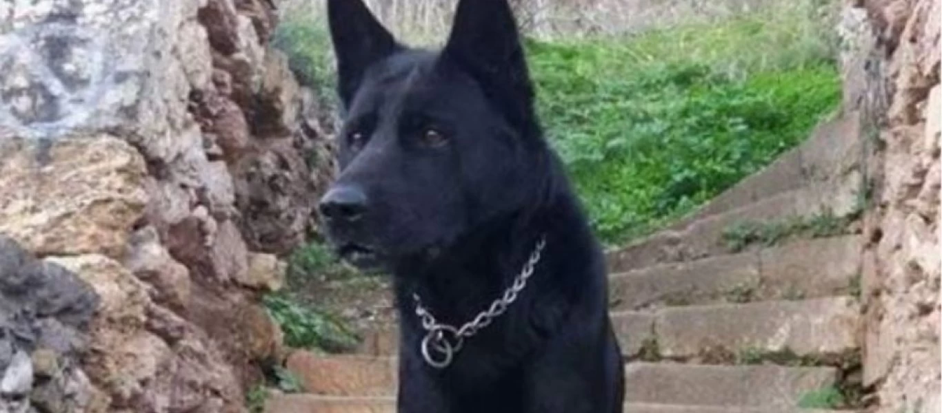 Η ΕΛΑΣ αποχαιρετά το Blacky - «Δε θα σε ξεχάσουμε» (φώτο)
